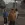 2026-09-29-17-56-14.webp