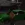 2026-09-29-21-00-44.webp