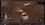 file1 (1).webp