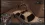 file3.webp