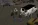 и5.webp