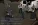 и7.webp