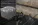 ц22.webp