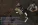 ц31.webp
