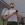1234.webp