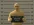 1791068080417.webp