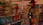 24.webp