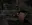 Без имени-5.webp
