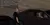 4.webp