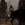 1791486816157.webp