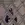 2026-10-10-22-52-12.webp