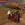 2026-10-11-12-26-29.webp