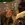 2026-10-11-12-47-07.webp