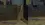 6.webp