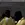 7.webp