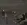 5.webp
