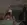 7.webp