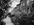 1792054668529.webp