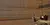 4.webp