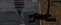 SAMP_SS_1792183309863.webp