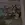 9.webp