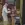 Gritty Kitchen Feast in Retro Game Style.webp