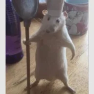 шамек
