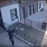 Pimp Playa